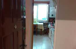Apartament 2 camere, 50 mp, decomandat, zona Teiul Doamnei