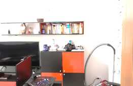 Apartament 2 camere, 50 mp, decomandat, zona Teiul Doamnei