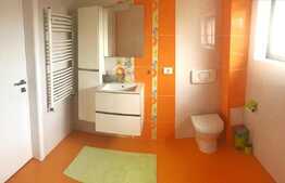 Casa 210 mp, teren 240 mp, terasa, in Adronache