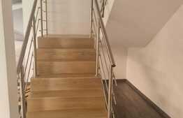 Casa 150 mp, curte 200 mp, Metalurgiei-Postalionului