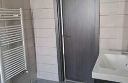 Casa 150 mp, curte 200 mp, Metalurgiei-Postalionului