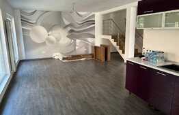 Casa 150 mp, curte 200 mp, Metalurgiei-Postalionului