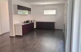 Casa 150 mp, curte 200 mp, Metalurgiei-Postalionului