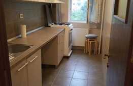 Apartament cu 1 camera, 40 mp, zona Pantelimon