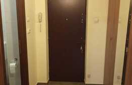 Apartament cu 1 camera, 40 mp, zona Pantelimon