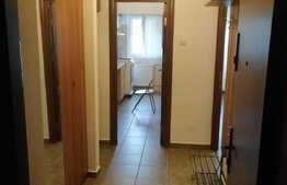 Apartament cu 1 camera, 40 mp, zona Pantelimon