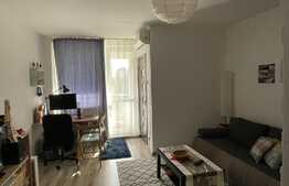 Apartament de 1 camera, 28 mp, mobilat/utilat, zona Pantelimon