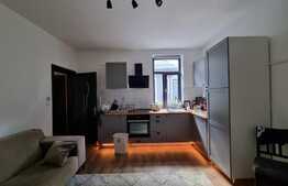 Apartament de 2 camere, 43 mp, decomandat, zona Parcul Carol