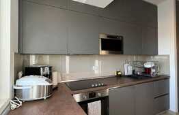 Apartament 2 camere, 60 mp, Dristor Residence