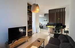 Apartament 2 camere, 60 mp, Dristor Residence