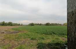 Casa 200mp utili, teren 3570mp, Darza/Crevedia