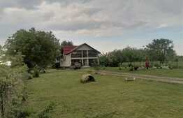 Casa 200mp utili, teren 3570mp, Darza/Crevedia