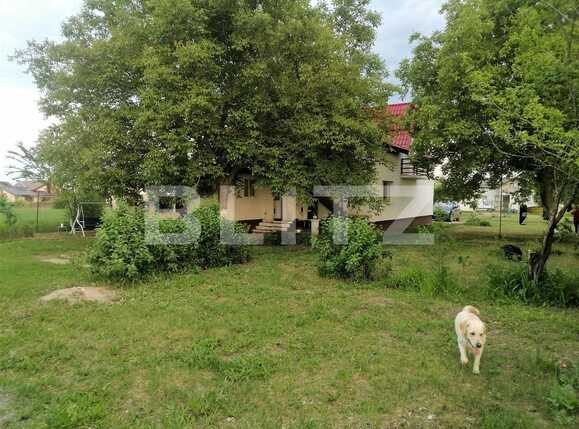 Casa de vânzare 6 camere Buftea - 90460CV | BLITZ București | Poza12