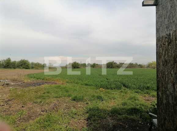 Casa de vânzare 6 camere Buftea - 90460CV | BLITZ București | Poza10