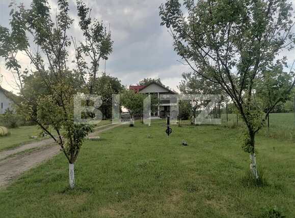 Casa de vânzare 6 camere Buftea - 90460CV | BLITZ București | Poza11