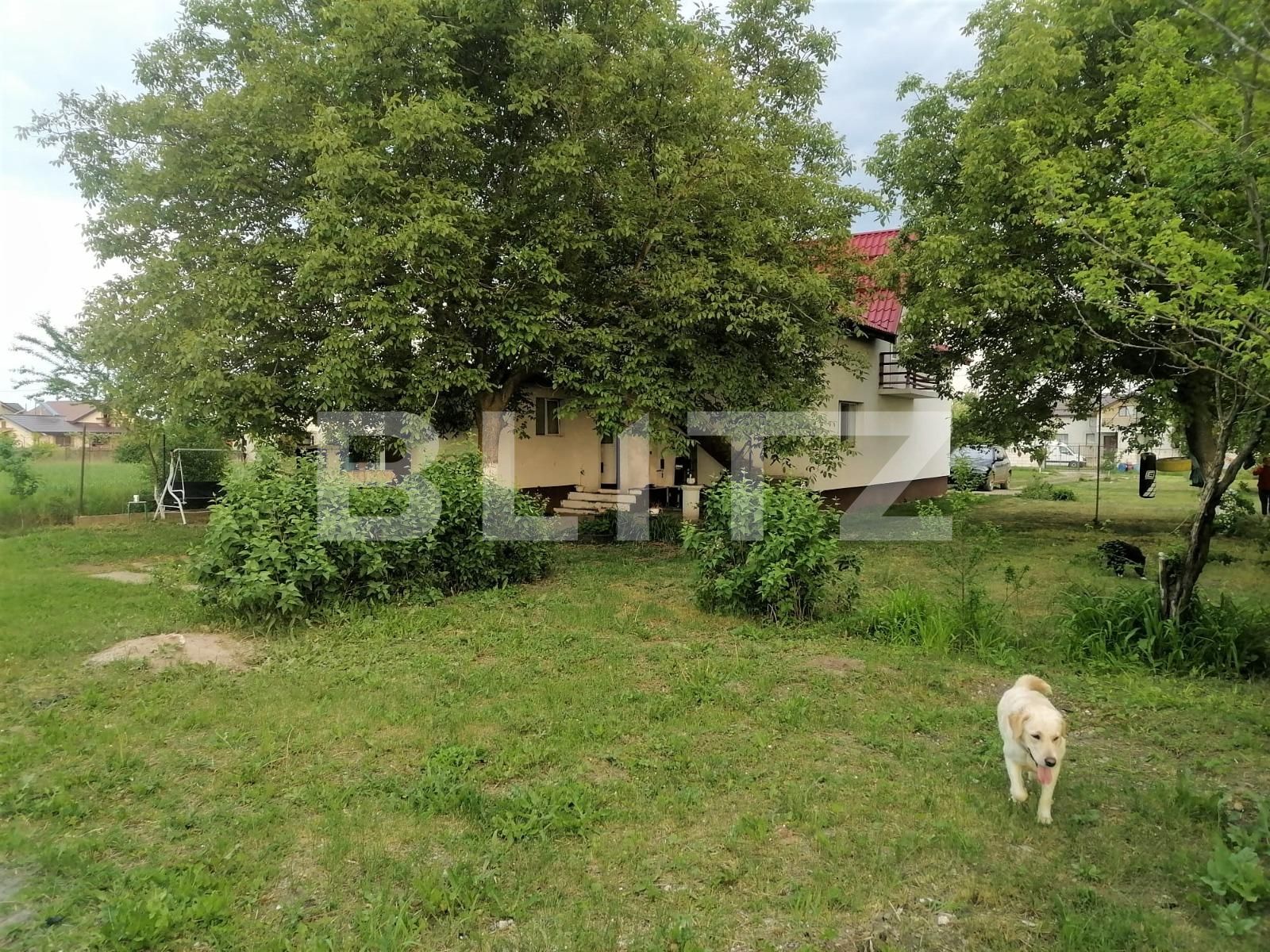 Casa de vânzare 6 camere Buftea - 90460CV | BLITZ București | Poza12