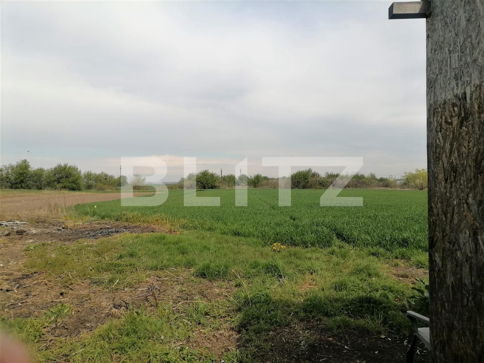 Casa de vânzare 6 camere Buftea - 90460CV | BLITZ București | Poza10