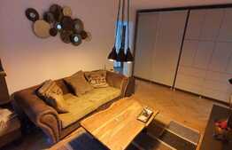 Apartament 2 camere, 50 mp, etaj intermediar, Campia Libertatii