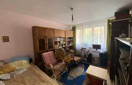  Apartament 2 camere, 42 mp, etaj intermediar, Cismigiu