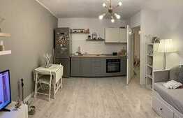 Studio 39 mp utili, lux, Nerva Traian