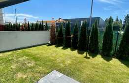 Vila 5 camere, 160 mp, terasa, zona Otopeni