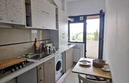 Apartament cochet de 2 camere, vedere către Lacul Grivița, zona Bucureștii Noi