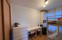 Penthouse 190 mp, decomandat, Costin Georgian