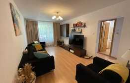 Apartament luminos de 4 camere, 86 mp, Costin Georgian