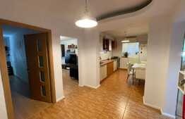 Apartament luminos de 4 camere, 86 mp, Costin Georgian