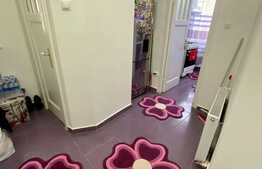 Apartament 3 camere, 76 mp, parter, bloc interbelic, Udriste