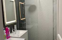 Apartament modern de 3 camere, curte proprie 120 mp, zona Jiului