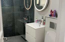 Apartament modern de 3 camere, curte proprie 120 mp, zona Jiului