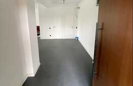 Vila smart, 243 mp, 336 mp teren, lux, zona Pipera