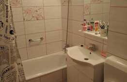 Apartament spatios 2 camere, 50 mp, Costin Georgian