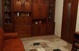 Apartament spatios 2 camere, 50 mp, Costin Georgian