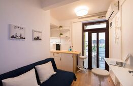 Garsoniera, 12 mp, mobilat/utilat, zona Cismigiu