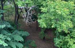 Apartament de 3 camere, 54 mp, balcon, zona Pajura