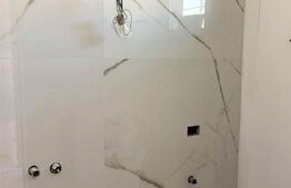 Casa superba, 4 camere, 250 mp teren, in Pantelimon