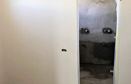 Casa superba, 4 camere, 250 mp teren, in Pantelimon