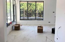 Casa superba, 4 camere, 250 mp teren, in Pantelimon