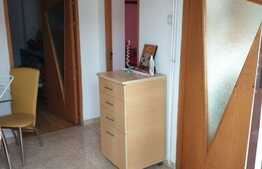 Casa langa lac, 80 mp, teren 300 mp, terasa, in zona Tei