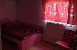 Casa langa lac, 80 mp, teren 300 mp, terasa, in zona Tei