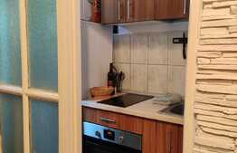 Garsoniera de 17 mp, mobilat/utilat, in zona Parcul Carol