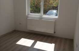 Apartament 2 camere, 52 mp, zona Salajan