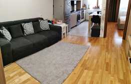 Apartament 2 camere, 40 mp, zona Baneasa