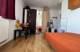 Garsoniera, 20 mp, metrou, zona 1 Decembrie 1918