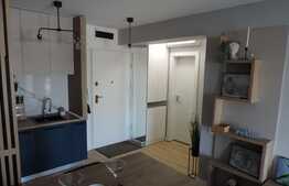 Apartament de 2 camere, 43 mp, etaj intermediar, in zona Vitan  