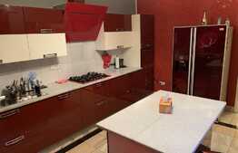 Casa Individuala, 4 camere, 300 mp, terasa, in Otopeni