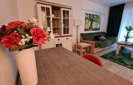 Apartament de 3 camere, gradina superba 60 mp, loc de parcare, zona Baneasa