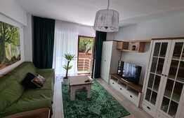 Apartament de 3 camere, gradina superba 60 mp, loc de parcare, zona Baneasa